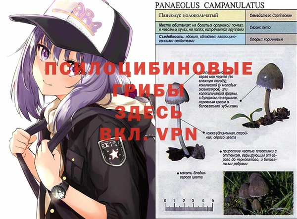 наркотики Краснотурьинск
