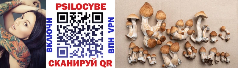 Псилоцибиновые грибы ЛСД где купить Мглин
